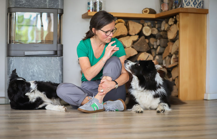 Coaching mit Hund