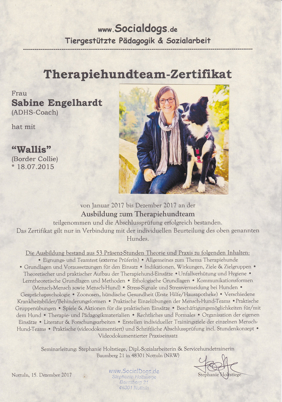 Coaching mit Hund Wallis